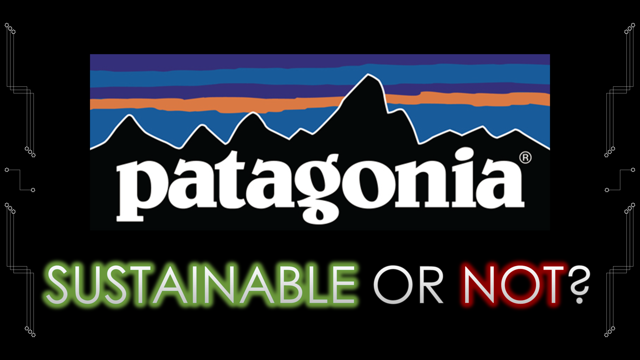 patagonia sustainability case study