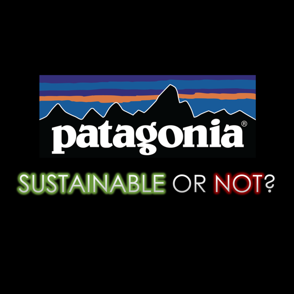 Patagonia: sustainable or not?
